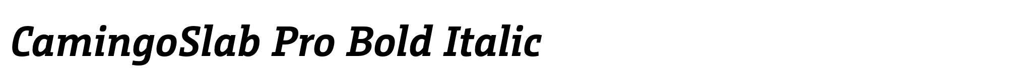 CamingoSlab Pro Bold Italic image